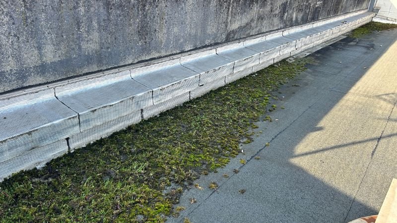 Infiltrations, sinistres et désordres d'étanchéité
